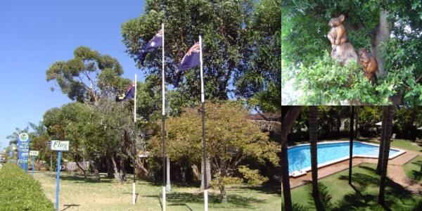 Flag Motor Lodge photo collage