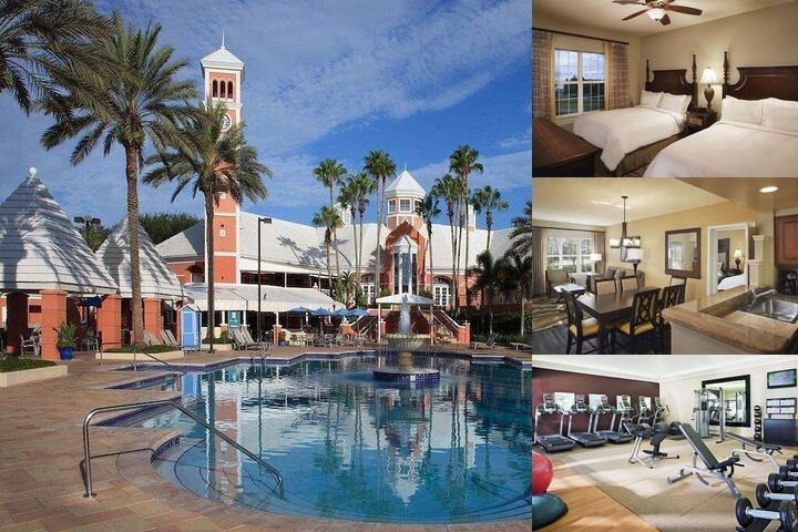 Hilton Grand Vacations Club SeaWorld® Orlando photo collage