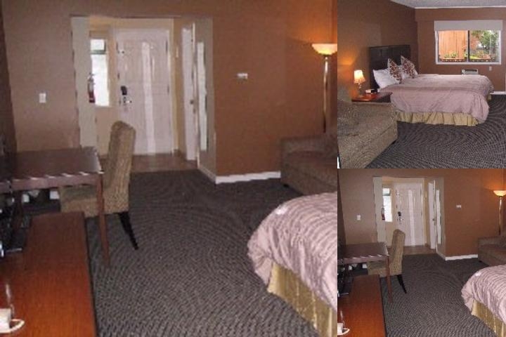 Lake City Inn & Suites photo collage