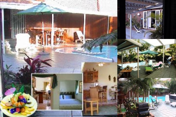 230 a Palm Garden photo collage