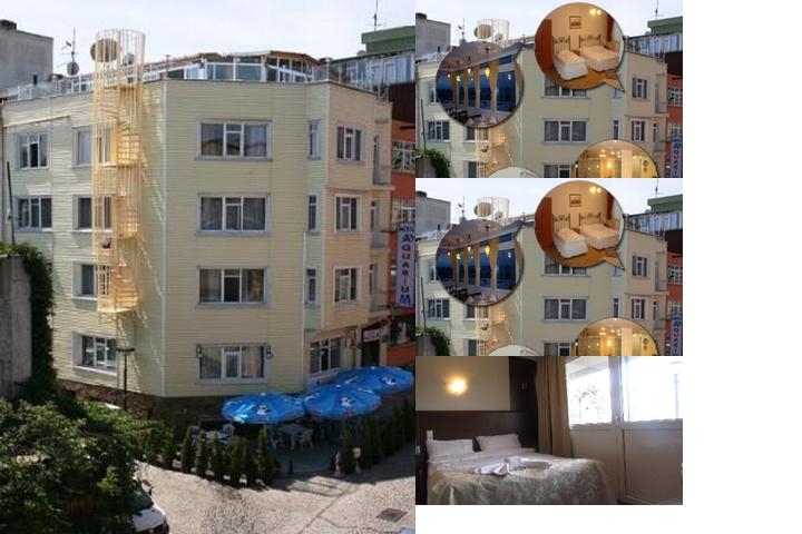 Aquarium Hotel Istanbul photo collage