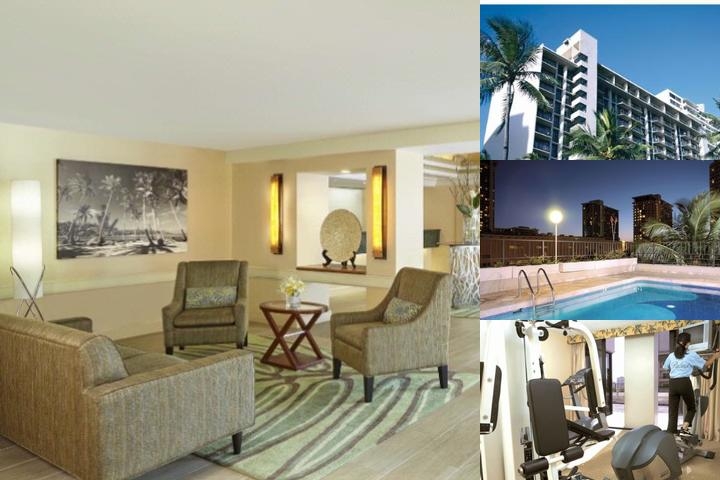 Palms 219 by RedAwning photo collage