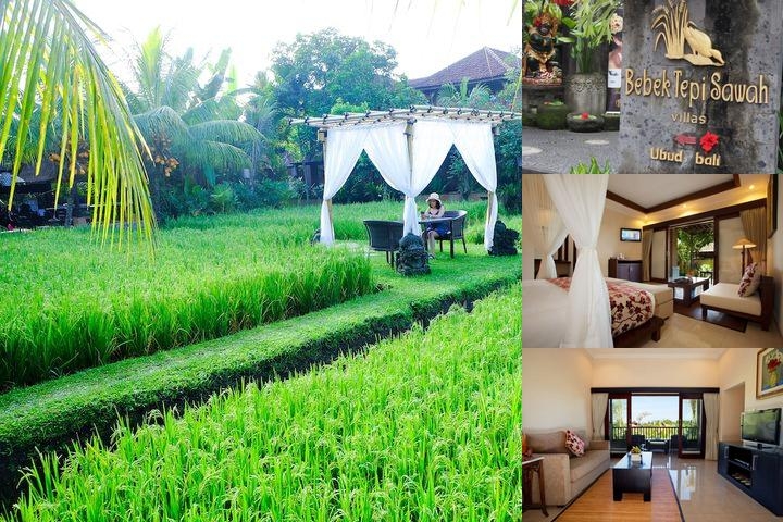 Bebek Tepi Sawah Restaurant & Villas photo collage