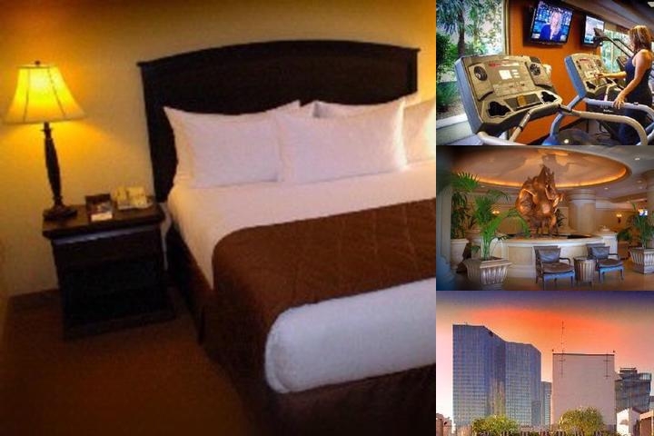 Polo Towers by Diamond Resorts photo collage