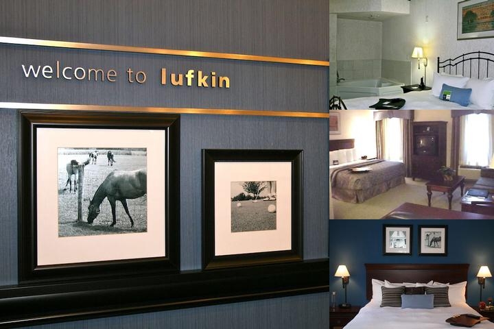 Hampton Inn & Suites Lufkin, TX photo collage
