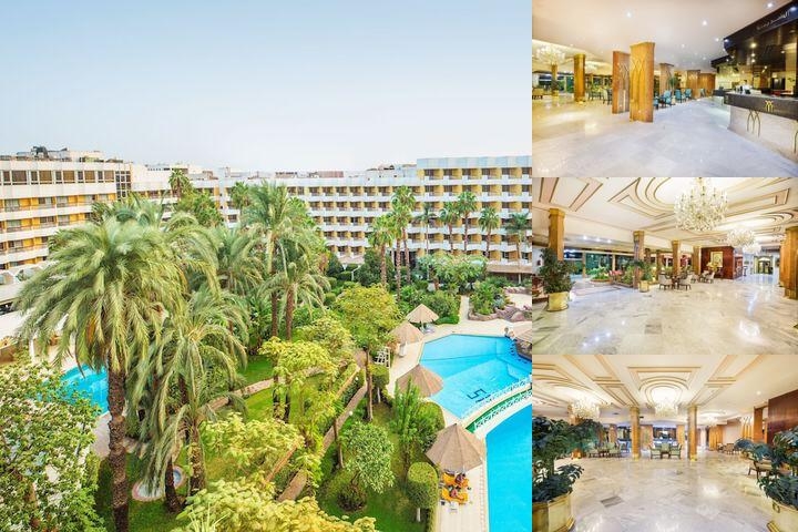 Pyramisa Hotel Luxor photo collage