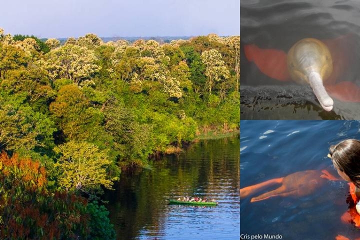Amazon Geo photo collage