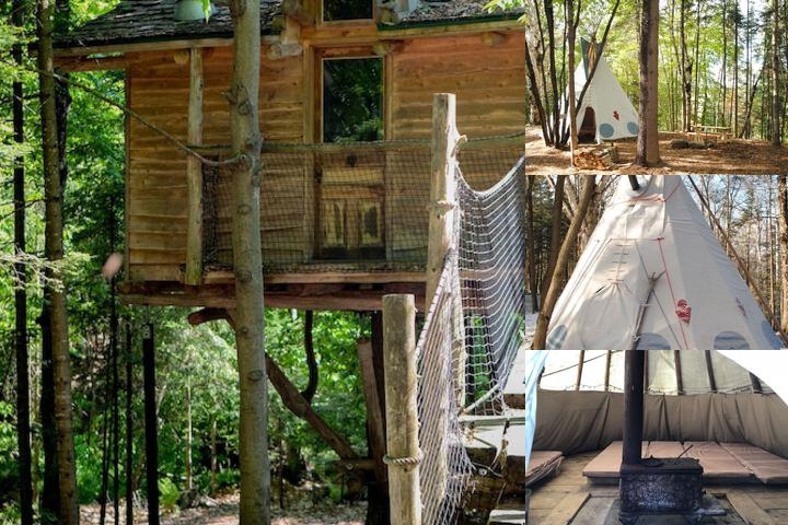 Chimo Refuges Treehouse Resort photo collage