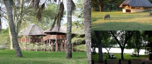 Bonamanzi Game Reserve photo collage