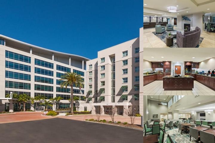 Homewood Suites Tampa Airport photo collage