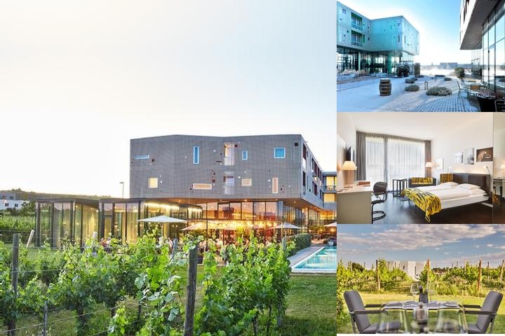 Loisium Wine & Spa Resort Langenlois photo collage