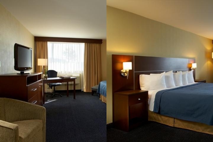 Comfort Inn South photo collage