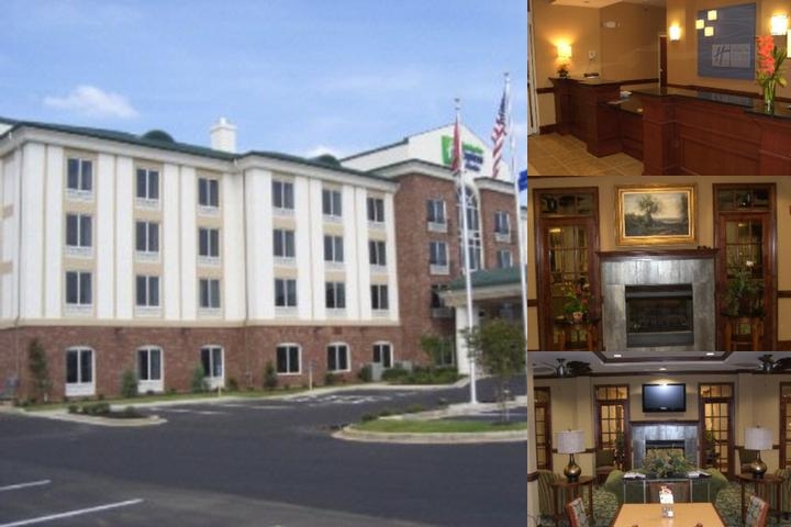 Holiday Inn Express & Suites Millington, an IHG Hotel photo collage