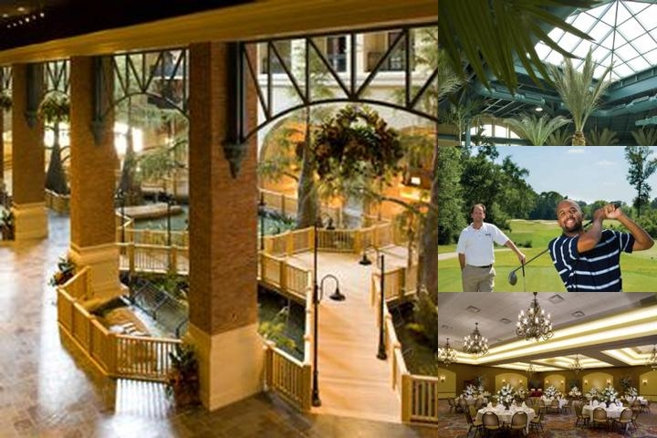 Paragon Casino Resort photo collage