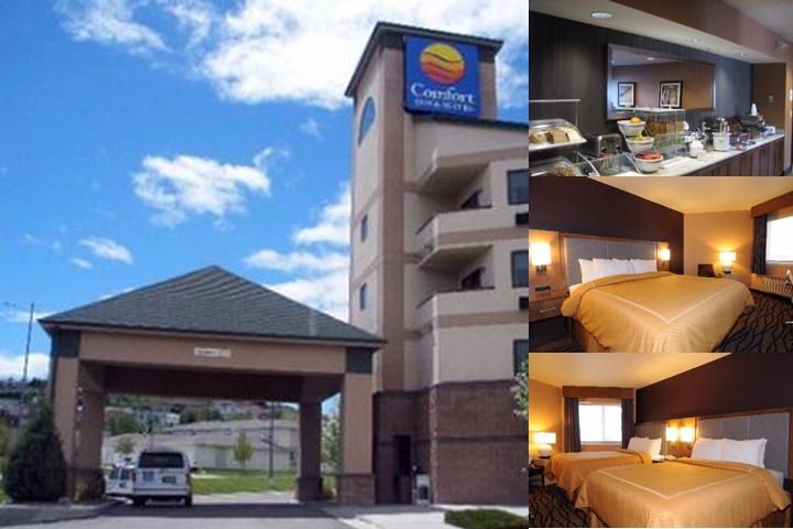 Comfort Inn & Suites Market - Airport photo collage