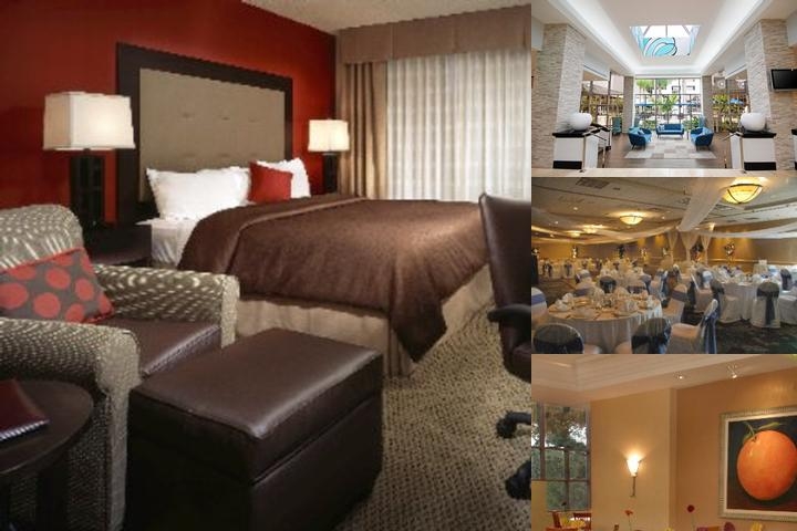 Sawgrass Grand Hotel and Suites Sports Complex photo collage