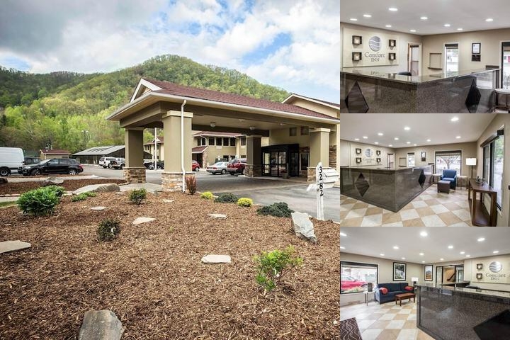 Comfort Inn near Great Smoky Mountain National Park photo collage