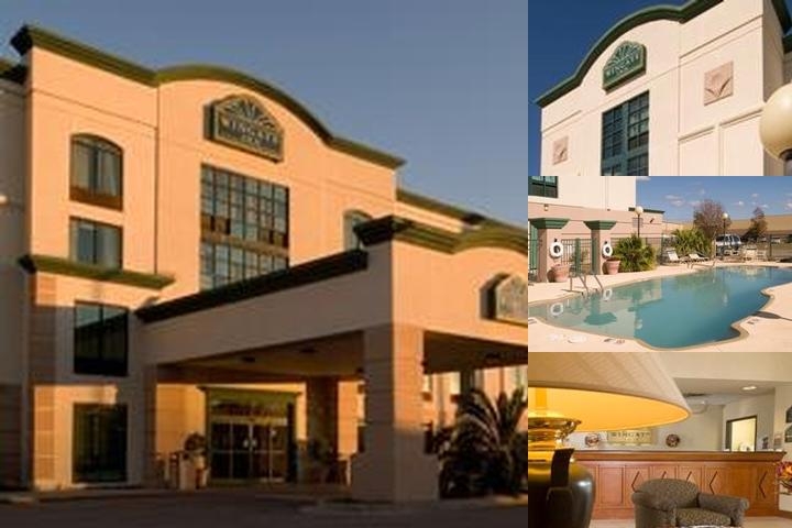 Comfort Inn & Suites Biloxi - D'Iberville photo collage