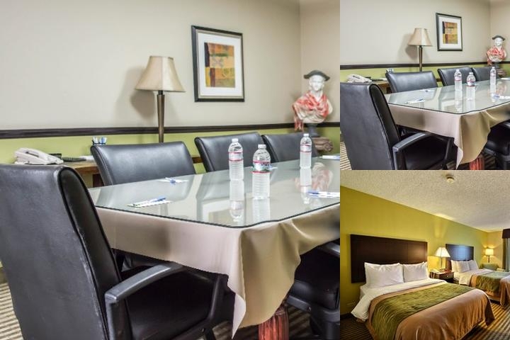 Comfort Inn & Suites St. Pete - Clearwater International Airport photo collage