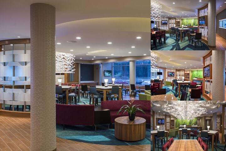 Springhill Suites Wisconsin Dells photo collage