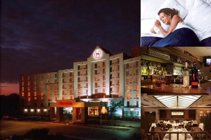 Sheraton Madison Hotel photo collage