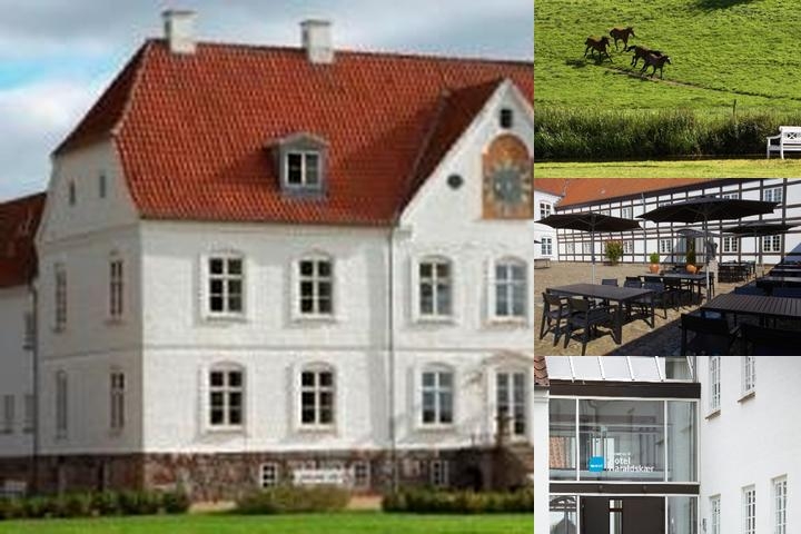 Haraldskær Sinatur Hotel & Konference photo collage
