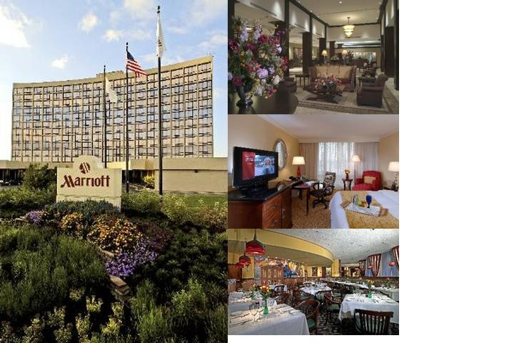 Chicago Marriott Oak Brook photo collage