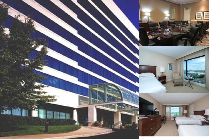 Hilton Greenville photo collage