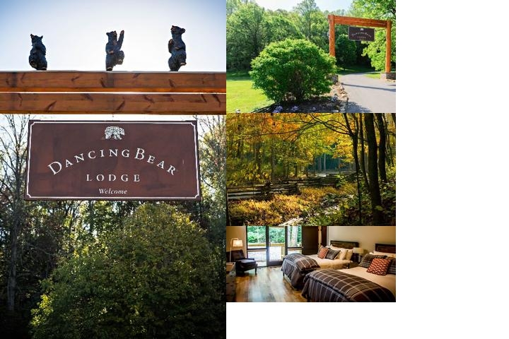 Dancing Bear Lodge photo collage