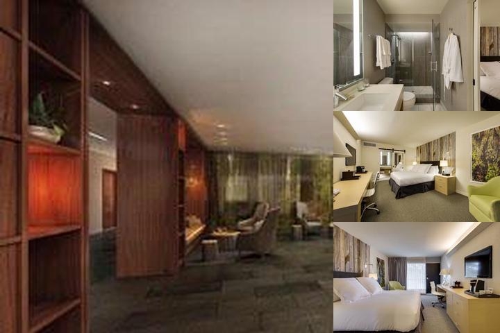 Hotel Paradox photo collage
