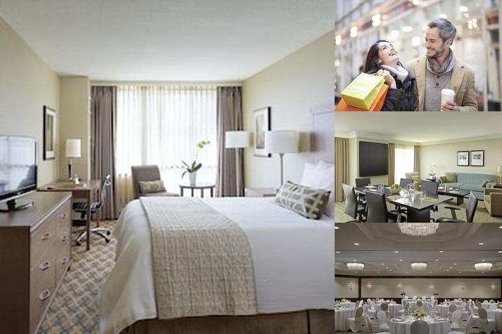 Chelsea Hotel, Toronto photo collage