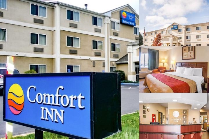 Comfort Inn Medford North photo collage