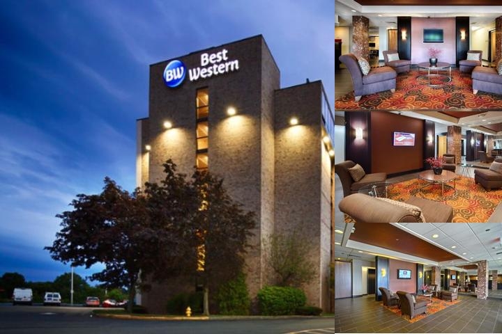 Best Western Executive Hotel Of New Haven - West Haven photo collage
