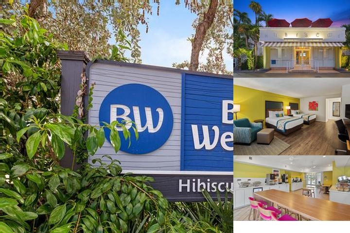 Best Western Hibiscus Motel photo collage