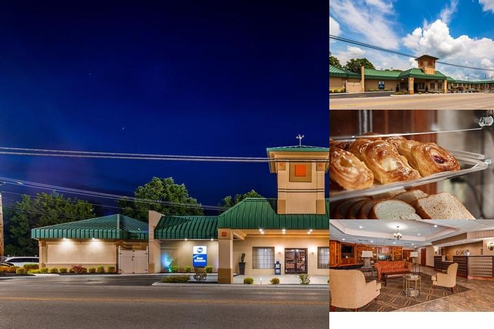 Best Western Tree City Inn photo collage