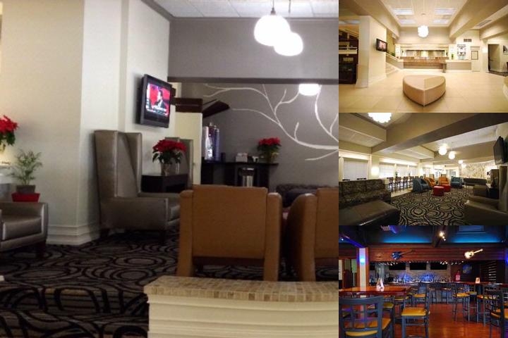 Aiden by Best Western Austin City Hotel photo collage