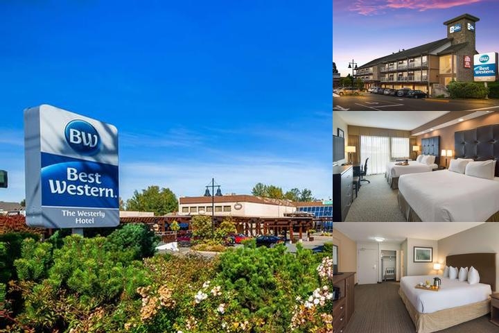 Best Western The Westerly Hotel photo collage