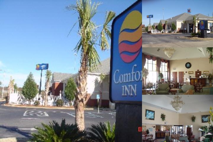 Quality Inn & Suites near Coliseum and Hwy 231 North photo collage