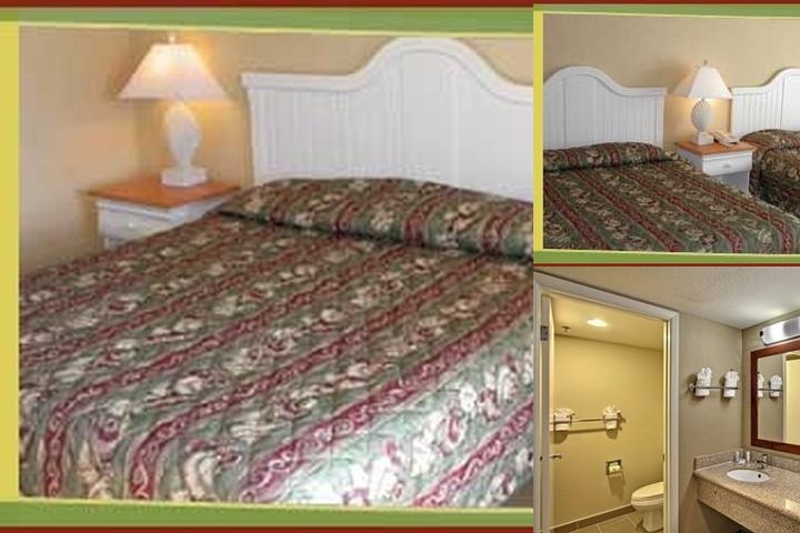 Hotel Avisa photo collage