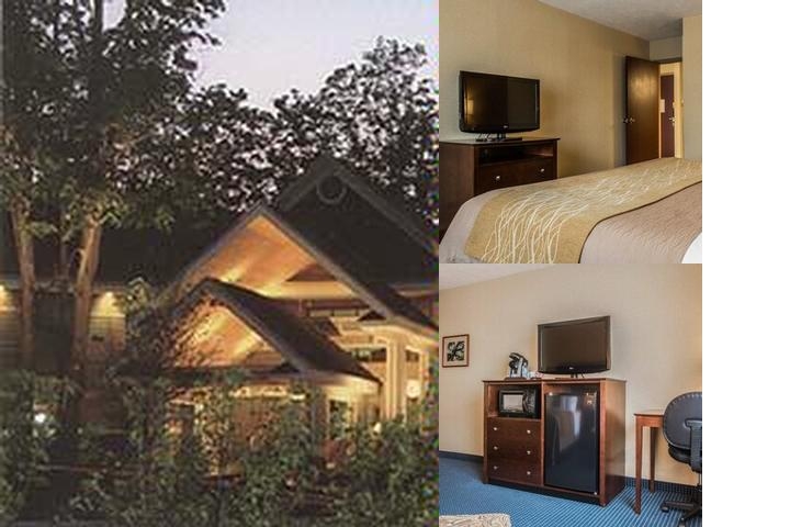 Comfort Inn & Suites at Maplewood photo collage
