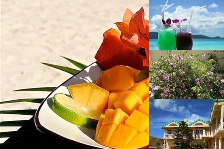 Sand & Sun Suites in Antigua photo collage