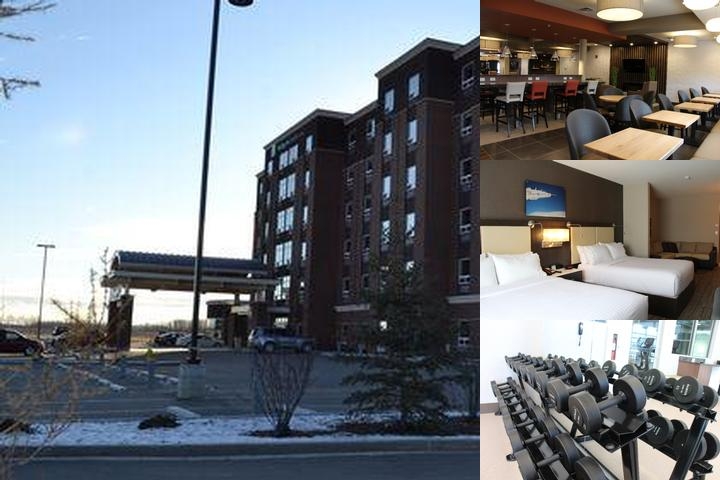 Holiday Inn Express & Suites Cold Lake, an IHG Hotel photo collage