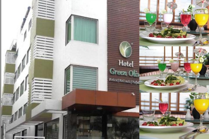 Hotel Green Olive photo collage