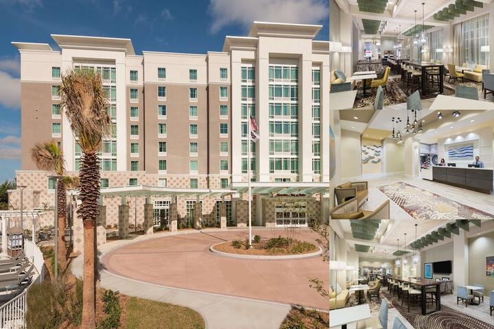 Hampton Inn & Suites Tampa Airport Avion Park Westshore photo collage