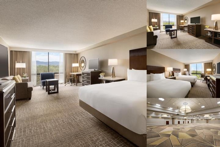 Hilton Fort Collins photo collage