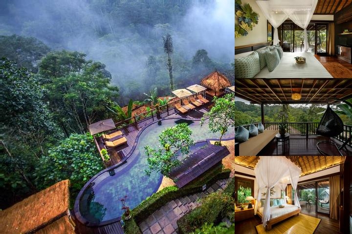 Nandini Jungle by Hanging Gardens photo collage