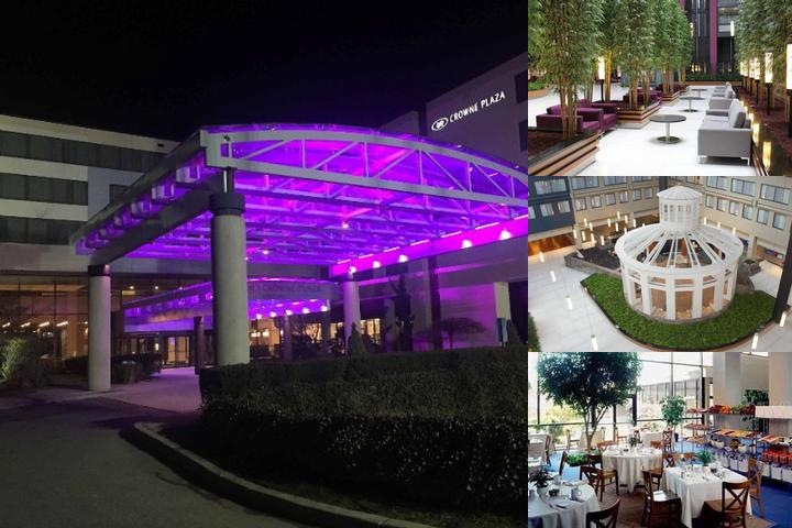 Crowne Plaza Stamford, an IHG Hotel photo collage