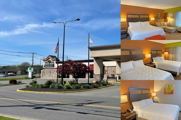 Holiday Inn Danbury Bethel at Interstate 84 An Ihg Hotel photo collage