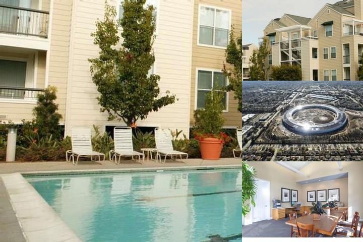 Global Luxury Suites Near Apple Hq photo collage
