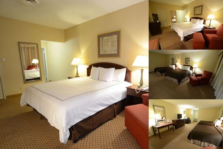 Hotel Ava photo collage